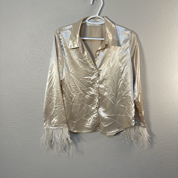 Ellison Satin Blouse with Feather Trim - Picture 2 of 6